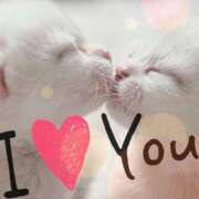 ヒメ日記 2026/02/12 07:20 投稿 ねね 熟女の風俗最終章 蒲田店