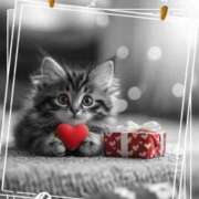 ヒメ日記 2026/02/15 16:00 投稿 ねね 熟女の風俗最終章 蒲田店