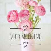 ヒメ日記 2026/02/17 06:20 投稿 ねね 熟女の風俗最終章 蒲田店