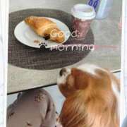 ヒメ日記 2026/02/21 06:30 投稿 ねね 熟女の風俗最終章 蒲田店