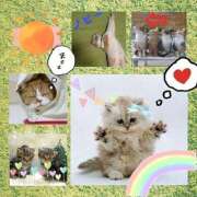 ヒメ日記 2026/02/22 10:00 投稿 ねね 熟女の風俗最終章 蒲田店