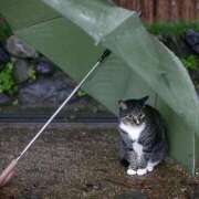 ヒメ日記 2026/02/25 08:20 投稿 ねね 熟女の風俗最終章 蒲田店