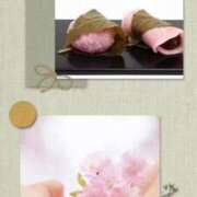 ヒメ日記 2026/03/01 09:50 投稿 ねね 熟女の風俗最終章 蒲田店