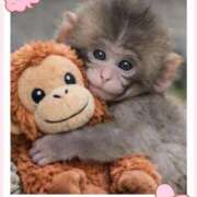 ヒメ日記 2026/03/12 08:10 投稿 ねね 熟女の風俗最終章 蒲田店