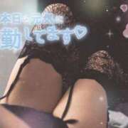 ヒメ日記 2026/03/19 09:50 投稿 ねね 熟女の風俗最終章 蒲田店