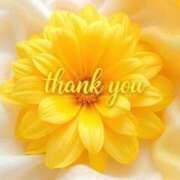 ヒメ日記 2026/03/20 18:31 投稿 ねね 熟女の風俗最終章 蒲田店