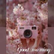 ヒメ日記 2026/03/25 06:10 投稿 ねね 熟女の風俗最終章 蒲田店