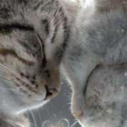 ヒメ日記 2026/03/26 13:20 投稿 ねね 熟女の風俗最終章 蒲田店