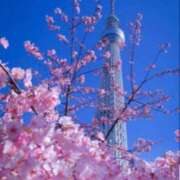 ヒメ日記 2026/03/27 18:30 投稿 ねね 熟女の風俗最終章 蒲田店