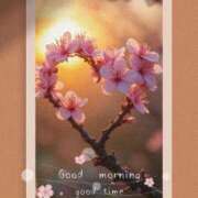 ヒメ日記 2026/03/30 06:20 投稿 ねね 熟女の風俗最終章 蒲田店