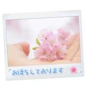 ヒメ日記 2026/04/03 10:00 投稿 ねね 熟女の風俗最終章 蒲田店