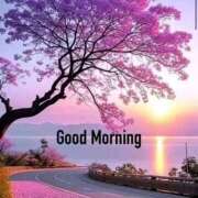 ヒメ日記 2026/04/04 09:50 投稿 ねね 熟女の風俗最終章 蒲田店