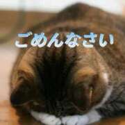 ヒメ日記 2026/04/05 06:20 投稿 ねね 熟女の風俗最終章 蒲田店