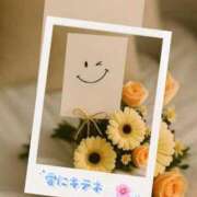 ヒメ日記 2026/04/06 10:50 投稿 ねね 熟女の風俗最終章 蒲田店