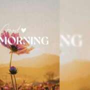 ヒメ日記 2026/04/14 06:20 投稿 ねね 熟女の風俗最終章 蒲田店