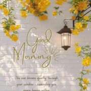 ヒメ日記 2026/04/16 06:20 投稿 ねね 熟女の風俗最終章 蒲田店