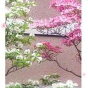 ヒメ日記 2026/04/20 13:04 投稿 ねね 熟女の風俗最終章 蒲田店