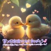 ヒメ日記 2026/06/15 17:20 投稿 ねね 熟女の風俗最終章 蒲田店