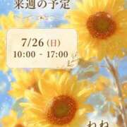 ヒメ日記 2026/07/17 22:00 投稿 ねね 熟女の風俗最終章 蒲田店