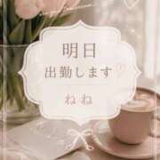 ヒメ日記 2026/08/31 15:10 投稿 ねね 熟女の風俗最終章 蒲田店