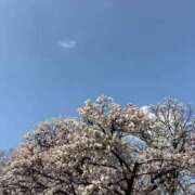 ヒメ日記 2026/04/09 23:43 投稿 しおり 新宿・本格コスプレ素人アイドル学園イメクラ「新入生」