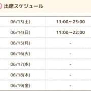 ヒメ日記 2026/06/13 23:55 投稿 しおり 新宿・本格コスプレ素人アイドル学園イメクラ「新入生」