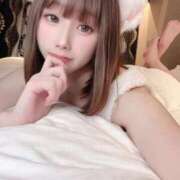 ヒメ日記 2026/02/22 14:50 投稿 かなう Gossip girl成田店