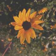 ヒメ日記 2025/12/16 11:54 投稿 ほのか 新宿・本格コスプレ素人アイドル学園イメクラ「新入生」