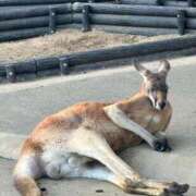 ヒメ日記 2026/01/13 18:31 投稿 ほのか 新宿・本格コスプレ素人アイドル学園イメクラ「新入生」