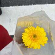 かなみ おはよっ！🌿🥯 新宿・本格コスプレ素人アイドル学園イメクラ「新入生」