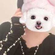 しいな おはようございますっ ̫ ‹ ᐝ 新宿・本格コスプレ素人アイドル学園イメクラ「新入生」