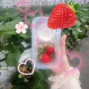 ヒメ日記 2026/04/02 13:44 投稿 みく 新宿・本格コスプレ素人アイドル学園イメクラ「新入生」