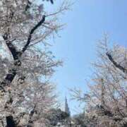 ヒメ日記 2026/04/04 08:49 投稿 みく 新宿・本格コスプレ素人アイドル学園イメクラ「新入生」