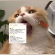 ヒメ日記 2026/04/07 12:07 投稿 みく 新宿・本格コスプレ素人アイドル学園イメクラ「新入生」