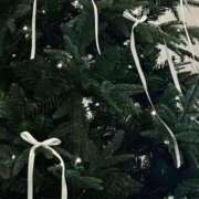 ヒメ日記 2025/12/13 17:31 投稿 ここ 新宿・本格コスプレ素人アイドル学園イメクラ「新入生」