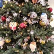 ヒメ日記 2025/12/14 17:39 投稿 はる 新宿・本格コスプレ素人アイドル学園イメクラ「新入生」