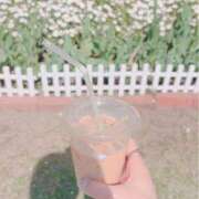 ヒメ日記 2026/04/14 15:10 投稿 はる 新宿・本格コスプレ素人アイドル学園イメクラ「新入生」