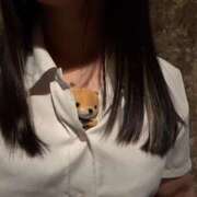 ヒメ日記 2025/12/26 20:01 投稿 ちなつ 新宿・本格コスプレ素人アイドル学園イメクラ「新入生」