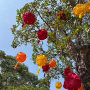 ヒメ日記 2026/03/07 01:42 投稿 ちなつ 新宿・本格コスプレ素人アイドル学園イメクラ「新入生」