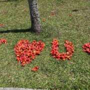 ちなつ こんにちは！ 新宿・本格コスプレ素人アイドル学園イメクラ「新入生」