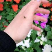 ヒメ日記 2026/01/24 13:01 投稿 かおる 新宿・本格コスプレ素人アイドル学園イメクラ「新入生」