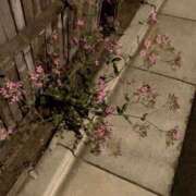 ヒメ日記 2026/01/30 18:35 投稿 かおる 新宿・本格コスプレ素人アイドル学園イメクラ「新入生」