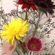 ヒメ日記 2026/01/31 22:15 投稿 かおる 新宿・本格コスプレ素人アイドル学園イメクラ「新入生」