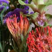 ヒメ日記 2026/02/05 23:15 投稿 かおる 新宿・本格コスプレ素人アイドル学園イメクラ「新入生」