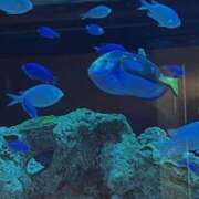 ヒメ日記 2026/02/23 10:03 投稿 かおる 新宿・本格コスプレ素人アイドル学園イメクラ「新入生」