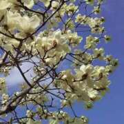 ヒメ日記 2026/02/25 13:45 投稿 かおる 新宿・本格コスプレ素人アイドル学園イメクラ「新入生」