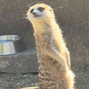 ヒメ日記 2026/03/07 10:01 投稿 かおる 新宿・本格コスプレ素人アイドル学園イメクラ「新入生」