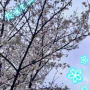 ヒメ日記 2026/03/25 17:22 投稿 かおる 新宿・本格コスプレ素人アイドル学園イメクラ「新入生」