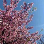 ヒメ日記 2026/04/20 16:03 投稿 かおる 新宿・本格コスプレ素人アイドル学園イメクラ「新入生」