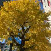 ちひろ 今日は楽しみなことが🥰 新宿・本格コスプレ素人アイドル学園イメクラ「新入生」